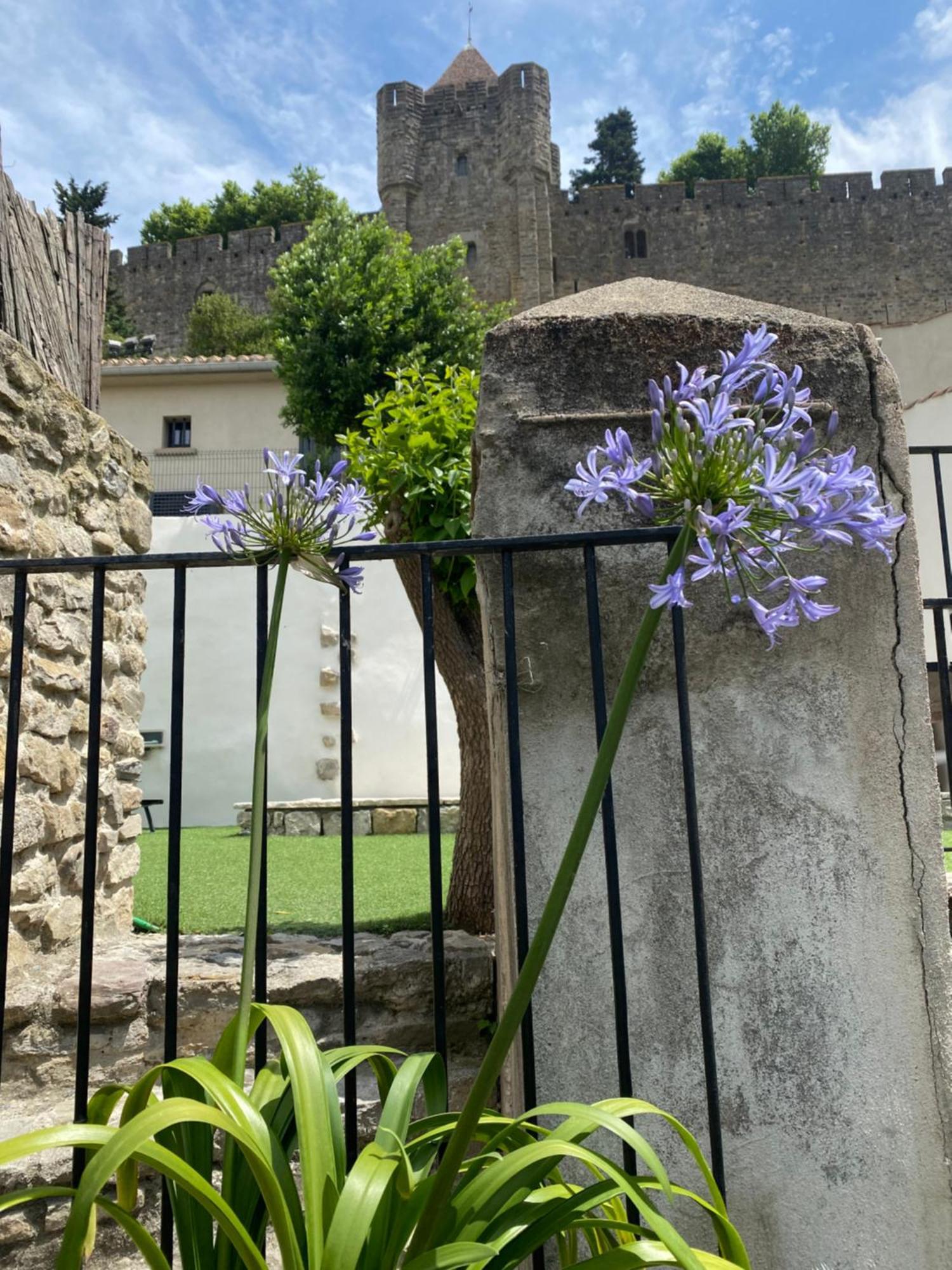 La Maison De La Tour Pinte Carcassone Kültér fotó